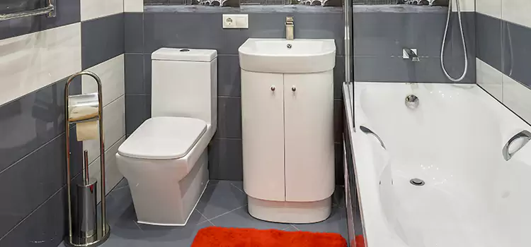 Hansgrohe Shaving Mirror Fort Pierce